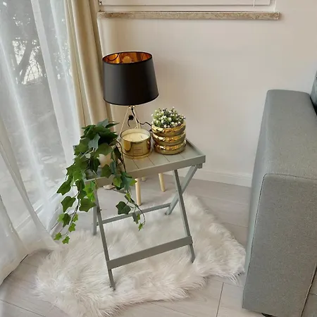 Teo With Terrace * Ровинь