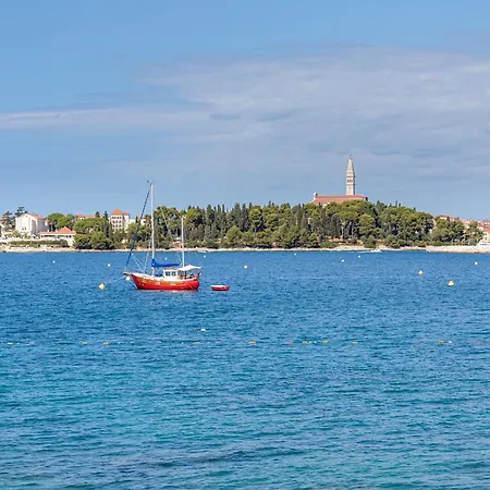 Teo With Terrace Апартаменты Ровинь